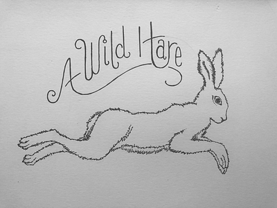 A Wild Hare