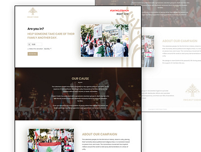 Landing Page Revolution donation foundrasing illustration landing page libanon liberty non profit revolution web design website