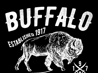 Buffalo Bisons Hockey Logo by Dylan Nowak on Dribbble