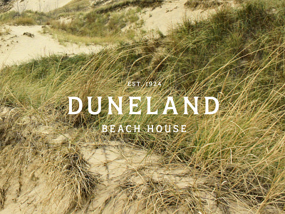Duneland Beach House Logo beach house branding design dunes graphic design logo logo design