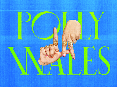 Polly Wales Branding branding custom type design graphic design logo logo design