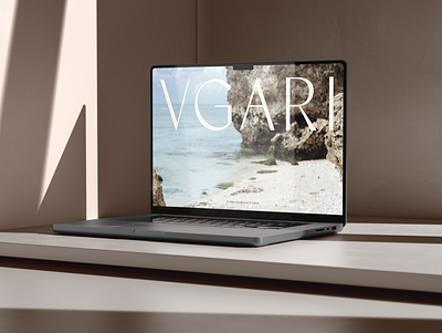 Vgari Website Design branding design graphic design logo logo design website design