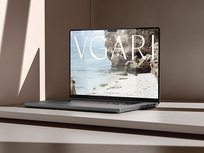 Vgari Website Design