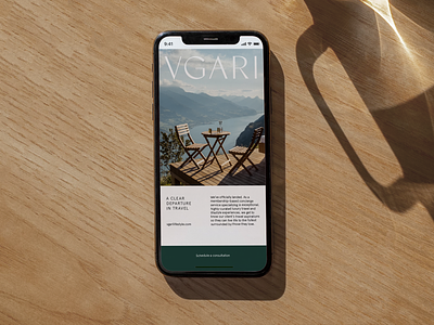 Vgari Newsletter Design