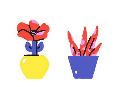 Vases illustration plants