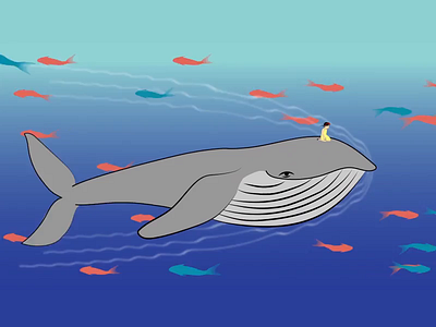 Tame the Whale animation creative arts illustration