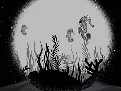 Seahorses black and white animation artist graphic design illustration