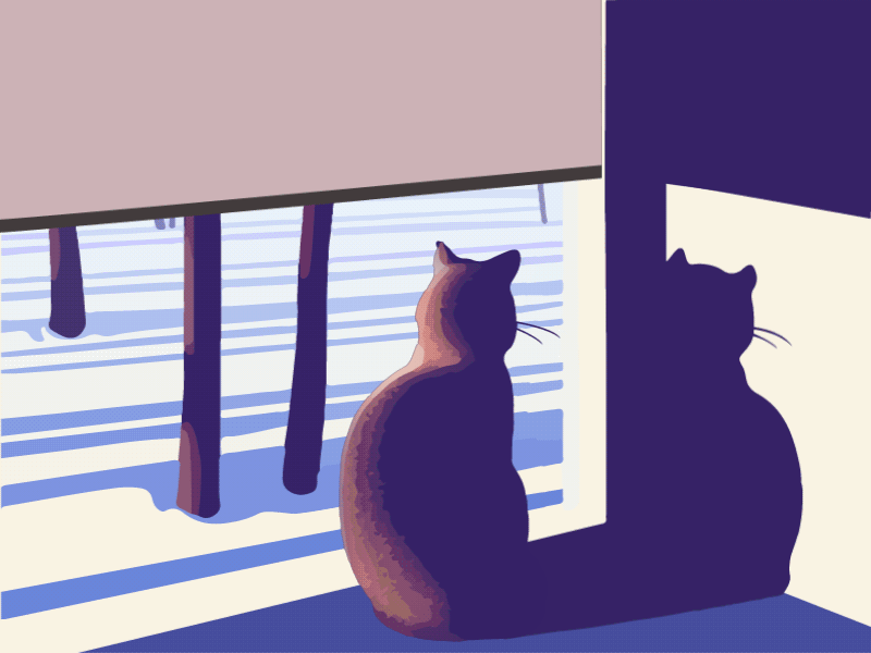 Early Morning - GIF animation cat dawn gif landscape light morning shadow snow trees window winter