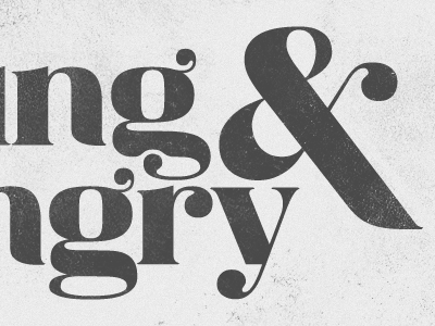 Y&H Ampersand ampersand magnola serif typography