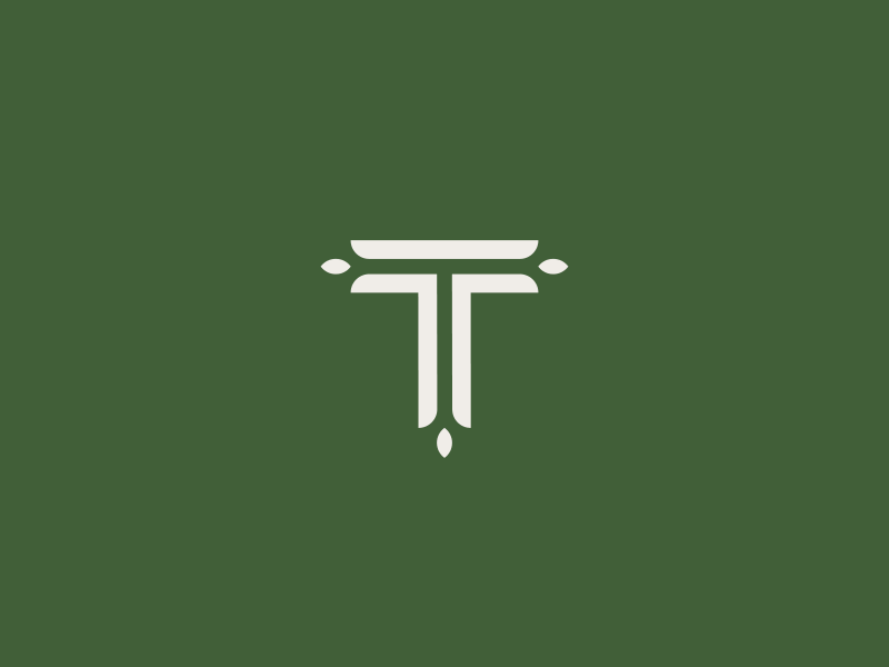 TT Monogram geometry identity mark monogram symbol t