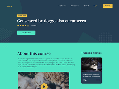 Slap kitten clean design landing page minimalist ui user interface ux website