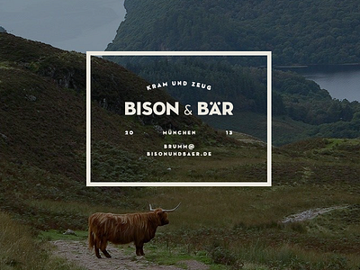 Bison & Bär Label Artwork bear bison cow highland label logo
