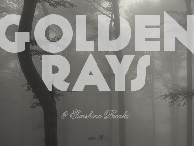 Golden Rays & Sunshine Breaks atmosphere cover fog forest mixtape outdoors photography tree woods