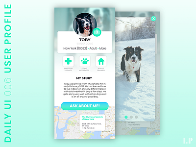 DailyUI #006 - User Profile dailyui dog figma mobile user