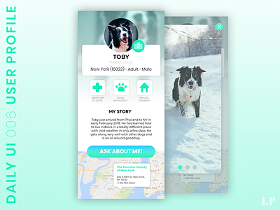 DailyUI #006 - User Profile