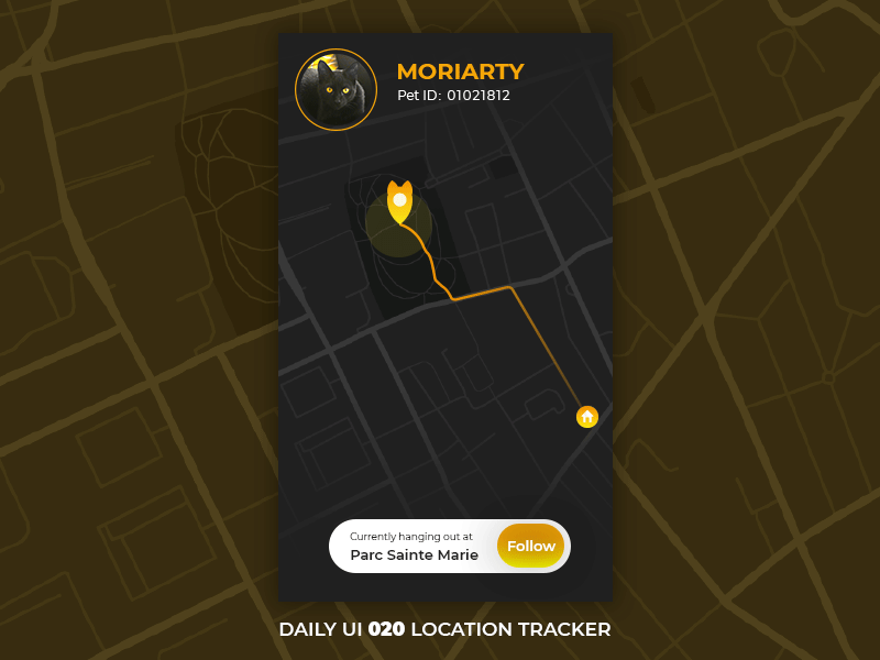 Daily UI #20 - Location Tracker cat dark ui location tracker map tracker
