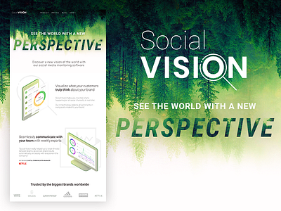 Social Vision Landing Page landing page monitoring