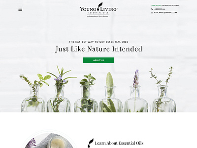 Homepage for Essential Oils design essential oil homepage design nature ui web webdesign