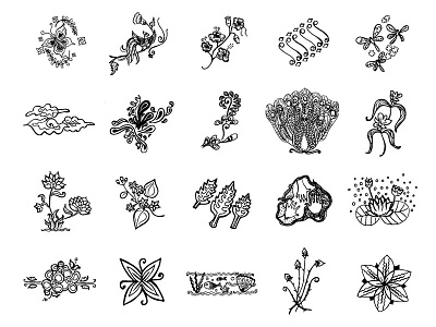 Hand Drawn Floral Elements 2 element floral flower handdraw illustration leaf