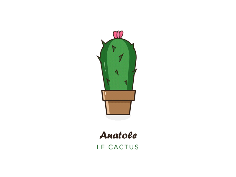 Anatole animation cactus illustration illustrator motiondesign powerpoint
