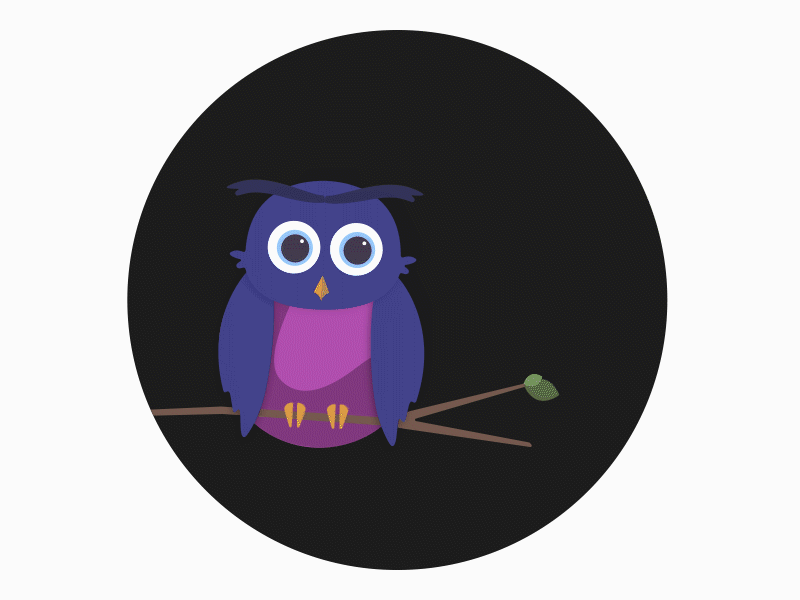 Intrigued 2019 2danimation aftereffects animal big eyes characterdesign cute design illustration loop minimal owl vector