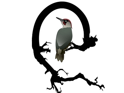 Picus arch bird branch illustration illustrator logo picus vector woodpecker