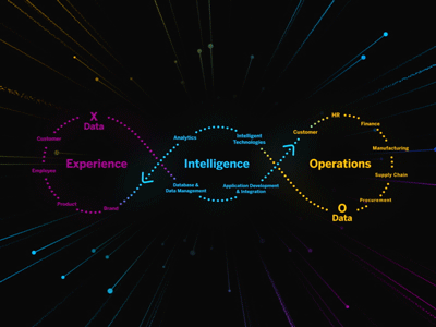 Intelligent Enterprise Operations after effects branding business enterprise glow graphic informational intelligent line logo loop motion graphics particular path services vector