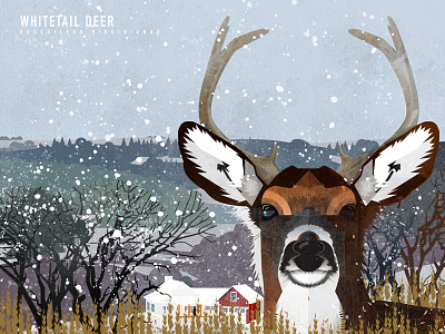 Whitetail Deer deer graphic design illustration mixed media