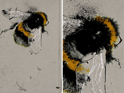 Bumble - postcard acrylic art artwork bee black bumble bumblebee design draw drawing hand drawn honey honeybee illustration ink inking paint postcard postcard design white