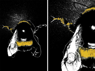 Bee - postcard acrylic animal art artwork bee black bumblebee design hand drawn honeybee illustration ink inking insects paint postcard white