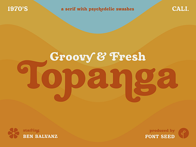 Topanga Typeface 1970s custom type fresh groovy serif state park swash topanga type art typeface