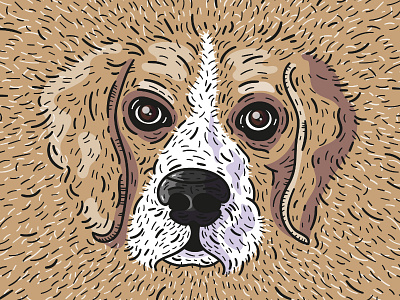 Rudi 🐶 illustration adobeillustrator animal art dog friend graphic illustration pet wacom