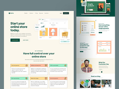 eCommerce Platform Website Design - BigShop