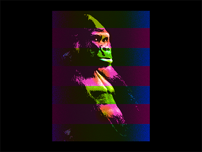 Gorilla Poster Experiment
