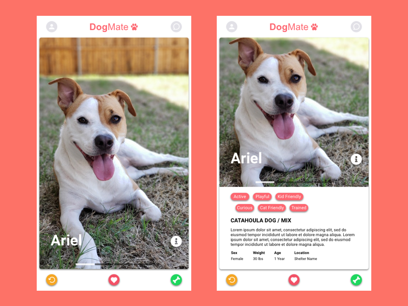 Dog Matching App Concept dog pet app matching app dog app logo sketch app ux ui branding design