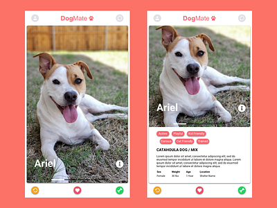 Dog App designs, themes, templates and downloadable graphic elements on