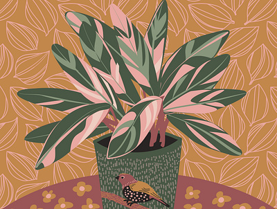 Stromanthe adobe illustrator design houseplant illustration plant plants stromanthe tropical plant vector