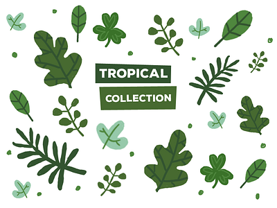 Tropical Collection cute illustration vector