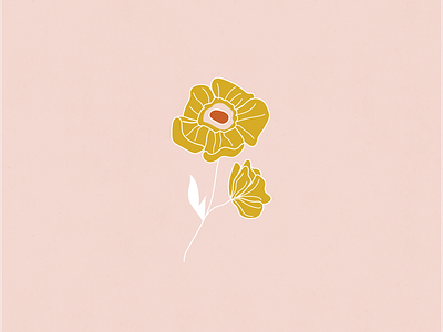 Poppy. floral illustration floral sketch poppy poppy illustration