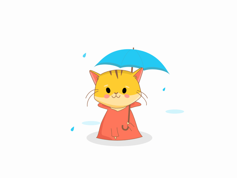 Kitten walking in the rain