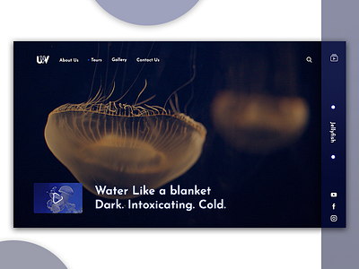 underwater branding design landing page ui user interface ux web design