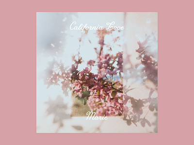 Marie California Love Album Art album album art album artwork california feminine floral indie music pink