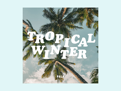 PALA Tropical Winter Album Art album album art album cover california cooper black music palm trees streaming tropical