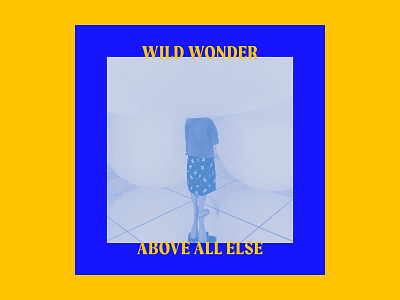 Wild Wonder Above All Else Album Art