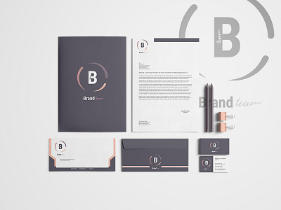 Corporate Identity Pack 3 variants - Brand Team branding business businesscard company company branding company logo corporate corporate branding corporate business card creative design elegant identity illustration logo template typography