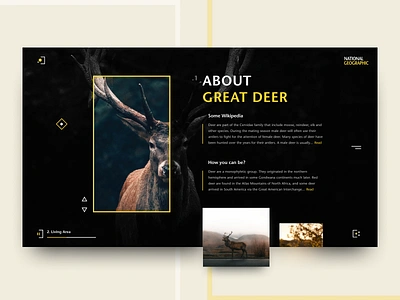 National Geographic Web Concept animals brutal concept deer design iconset info journal matid national geographic ui web website wiki