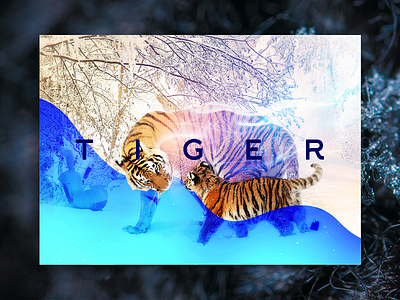 Tiger Book Cover book cover page design mockup modern art print save tiger wildlife