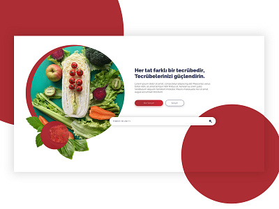 Catering Company | Food Website Design catering chef chefs circle company website food foodie red search bar uidesign webdesign website