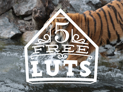 Freeluts after effects film free gif help lut luts motion presets tiger