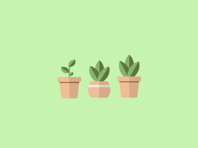 Succulents Minimalist Design
